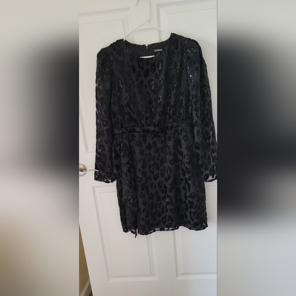 Express Women Black dress
